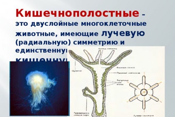 Кракен маркетплейс почему не закроют