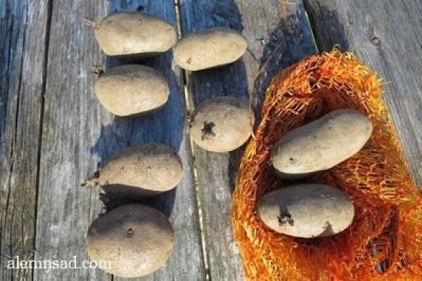 Как найти актуальную ссылку на кракен
