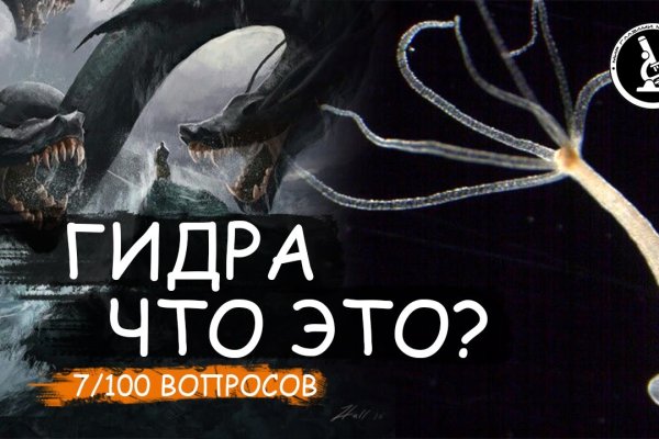 Как зарегаться на кракене