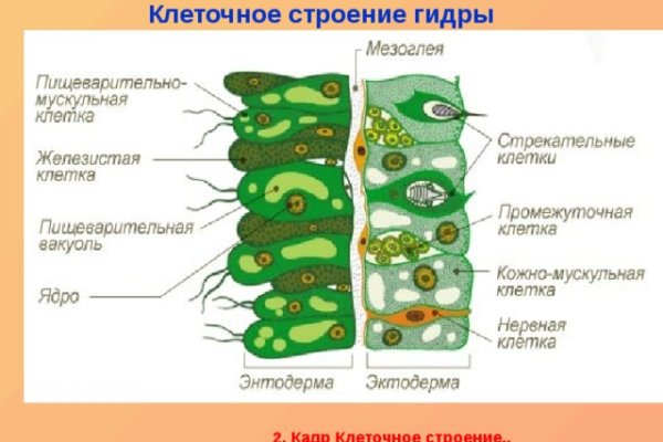 Настоящий сайт kraken