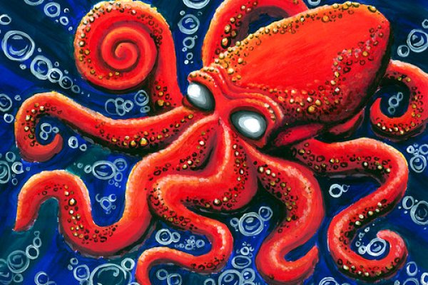 Кракен мониторинг ссылок kraken torion