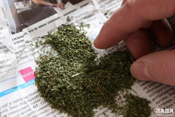 Пользователь не найден кракен что делать