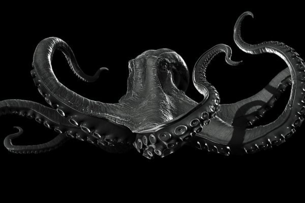 Kraken рабочий