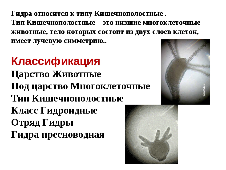 Вход в кракен даркнет