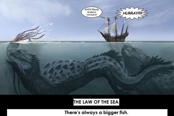Kraken 12at