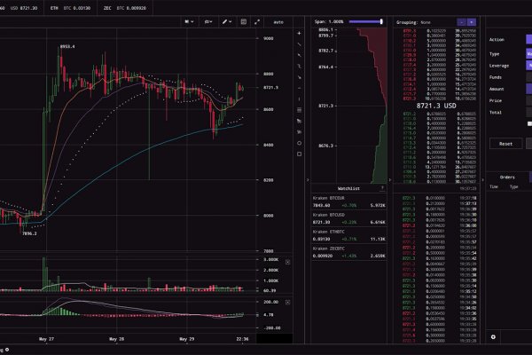Kraken 13at