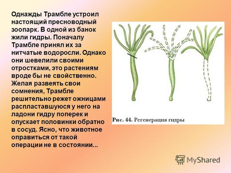 Clear ссылка на кракен