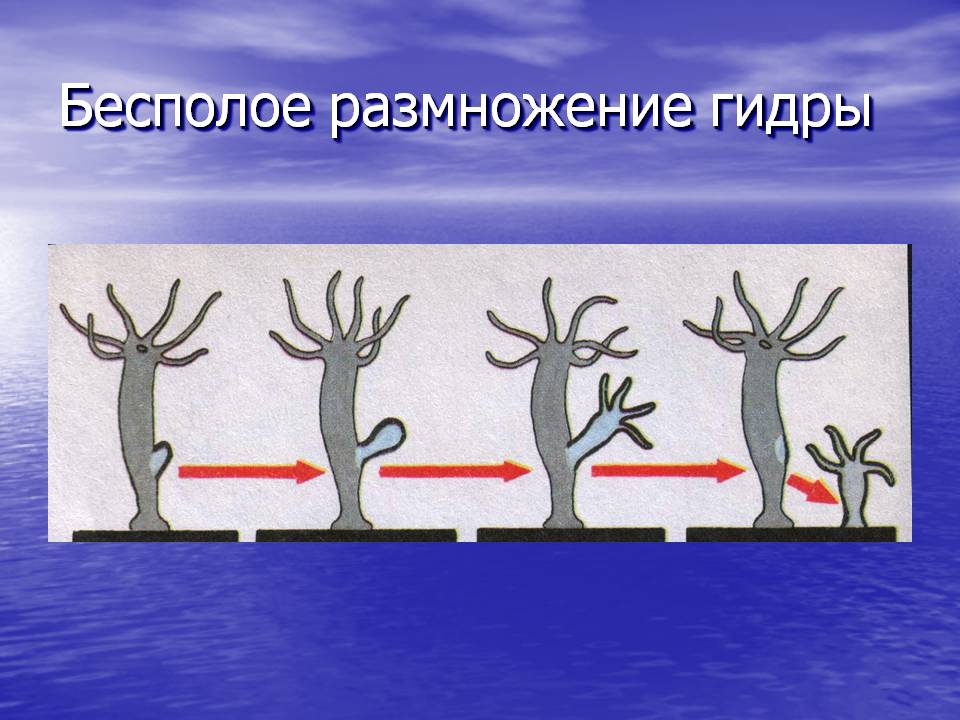 Кракен вход зеркало